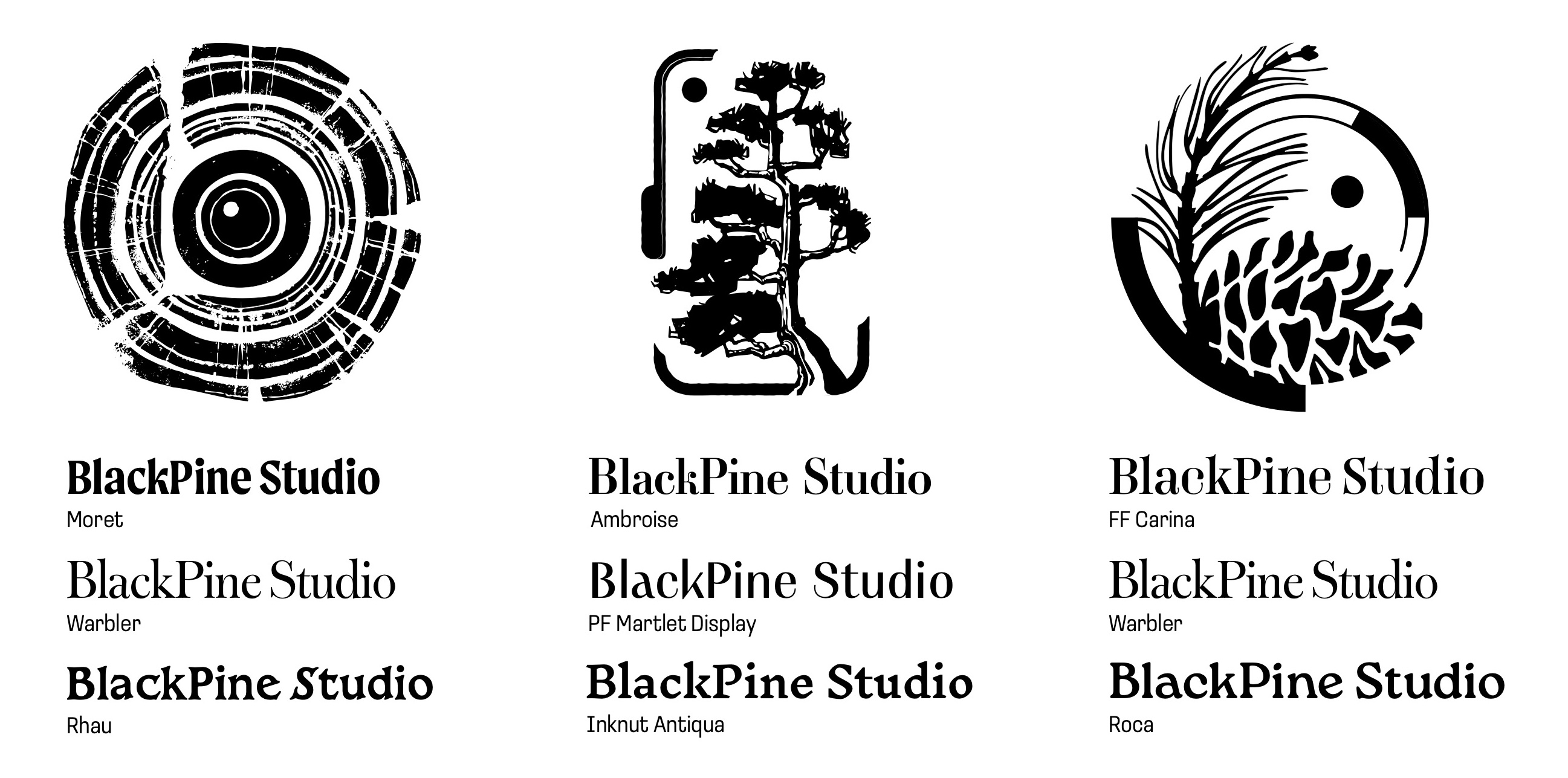 Logo design revisions for Black Pine Studio.
