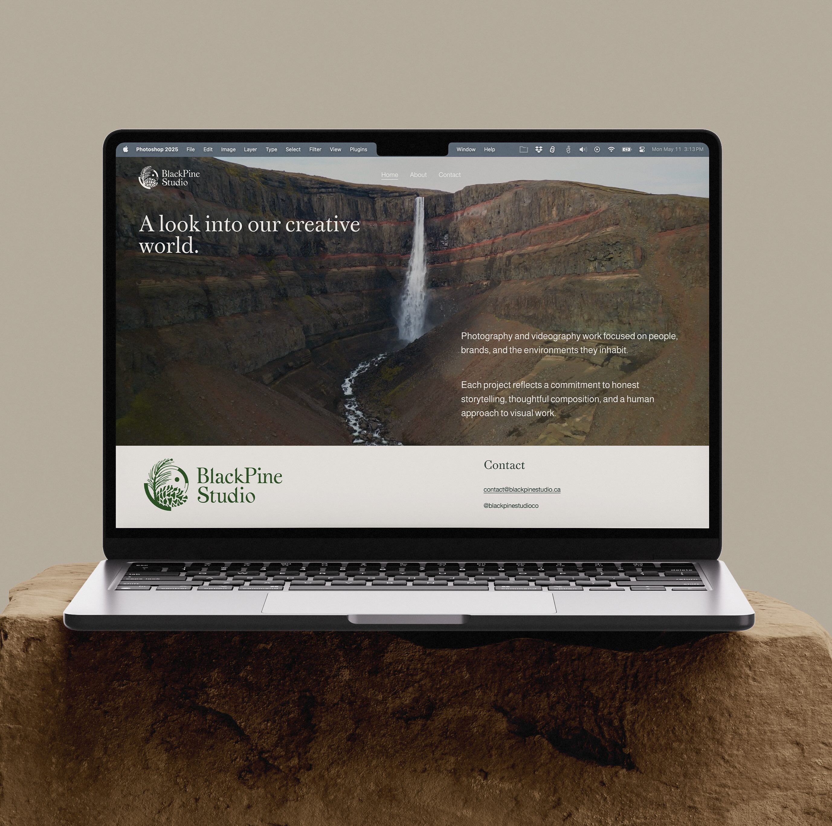 Mock up of a logo design for Black Pine Studio on a website landing page.