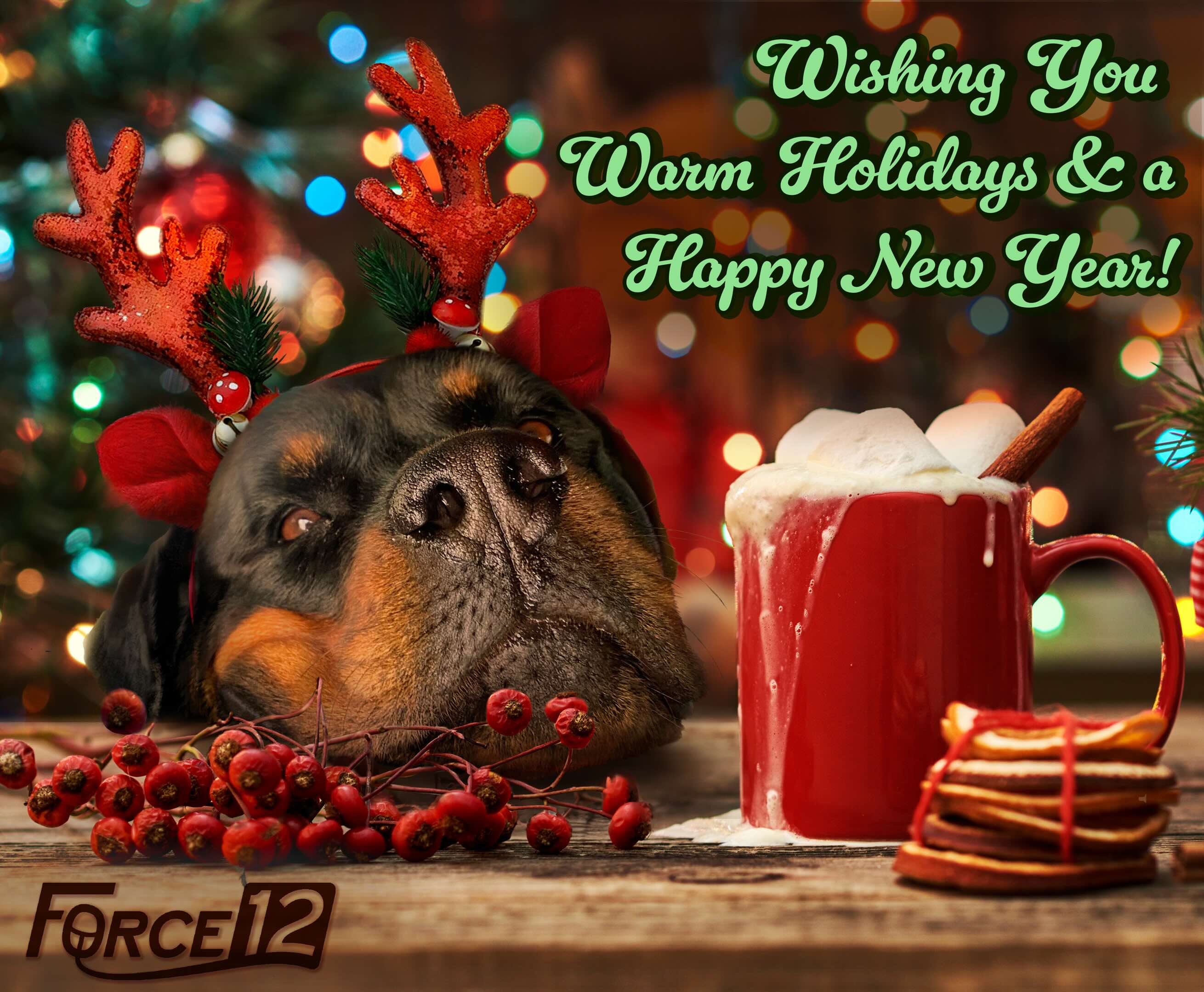 Holiday card for Force Twelve Consulting LTD. A dog sits with a mug of hot chocolate.