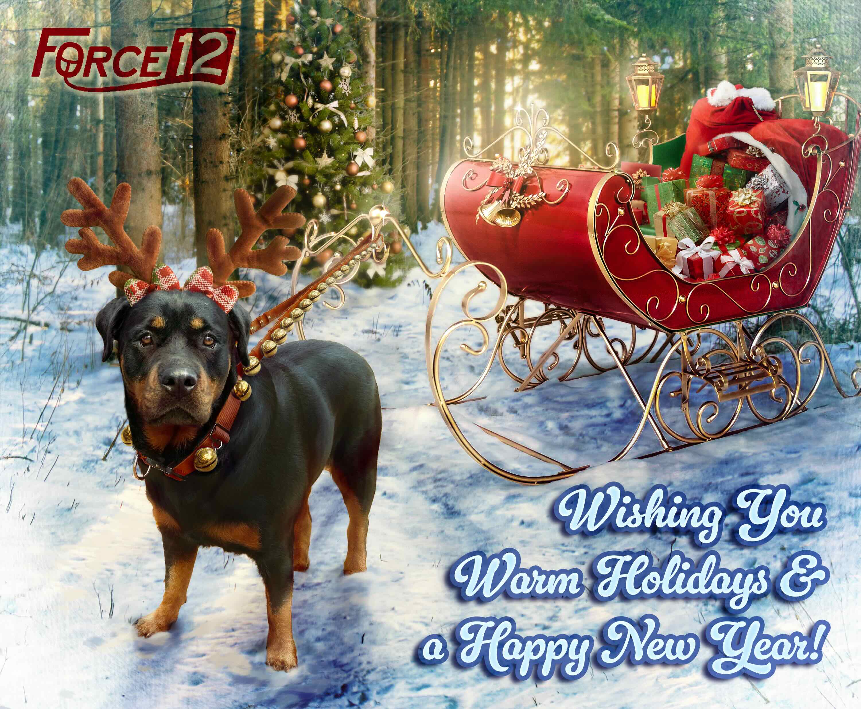Holiday card for Force Twelve Consulting LTD. A dog pulls a Santa sled.