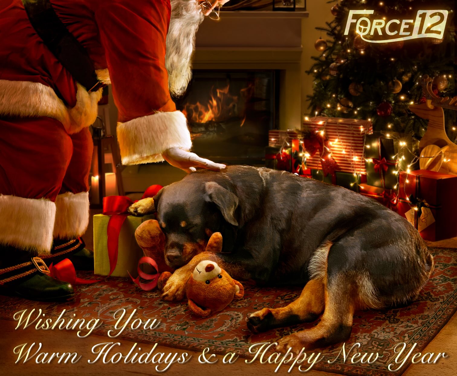 Holiday card for Force Twelve Consulting LTD. A dog sleeping with Santa by the fire.