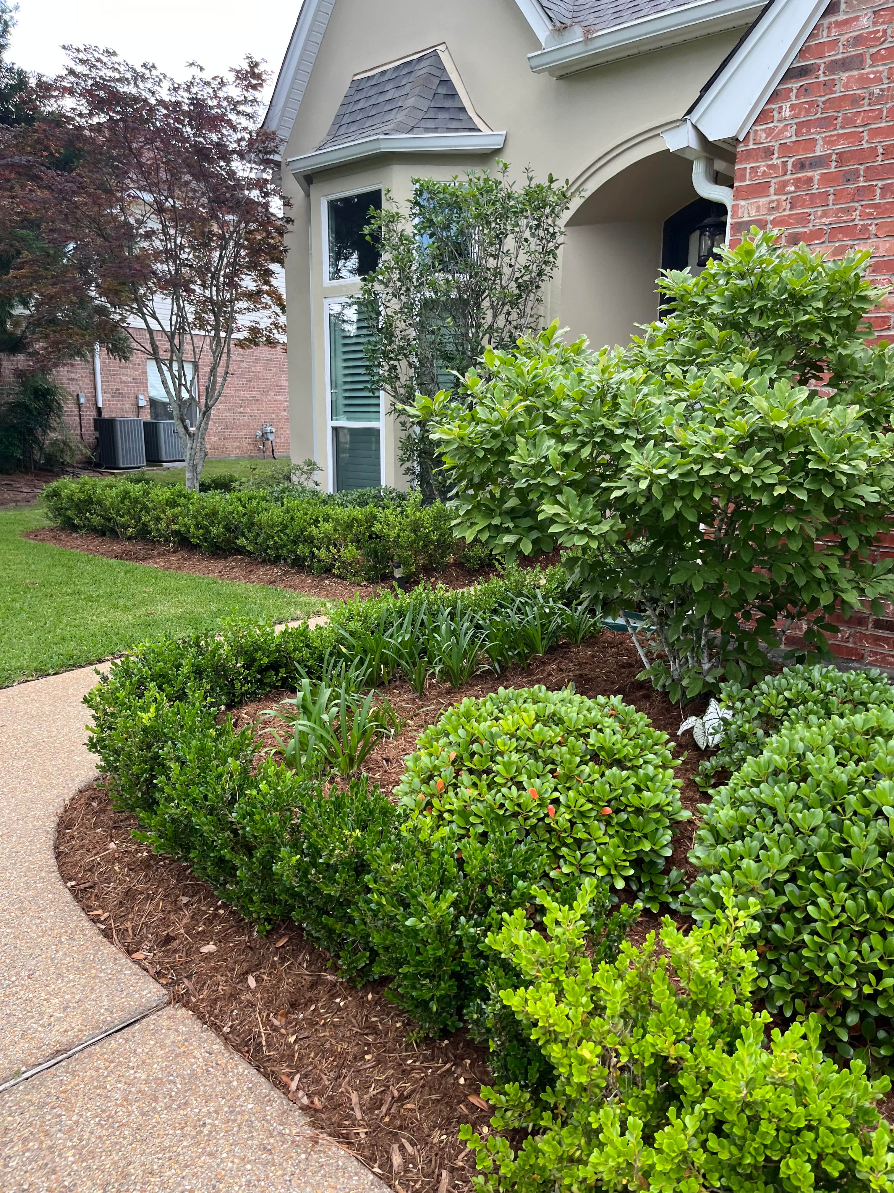 SOTE landscape work on a Northshore property