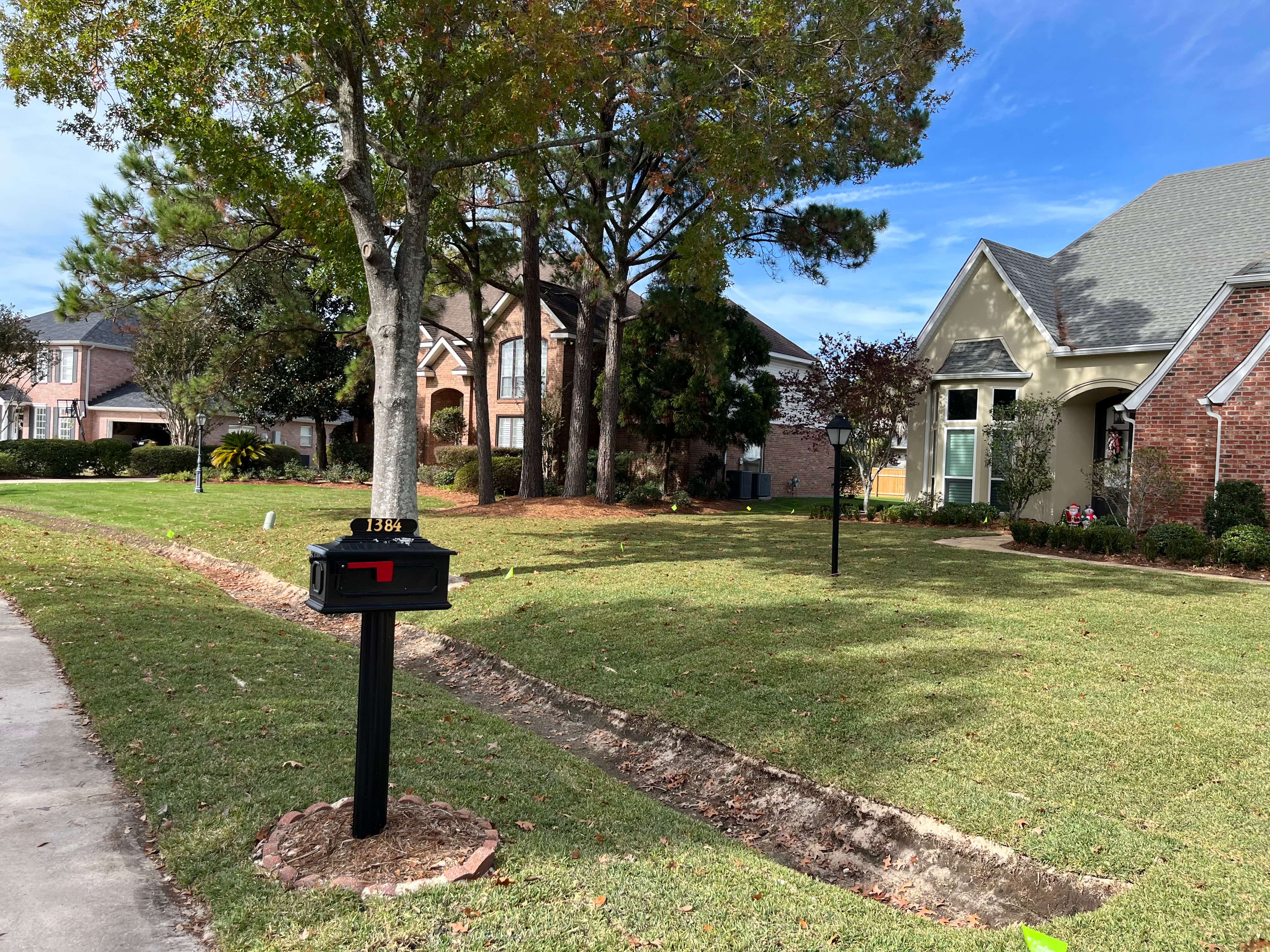 Established Northshore landscape under maintenance