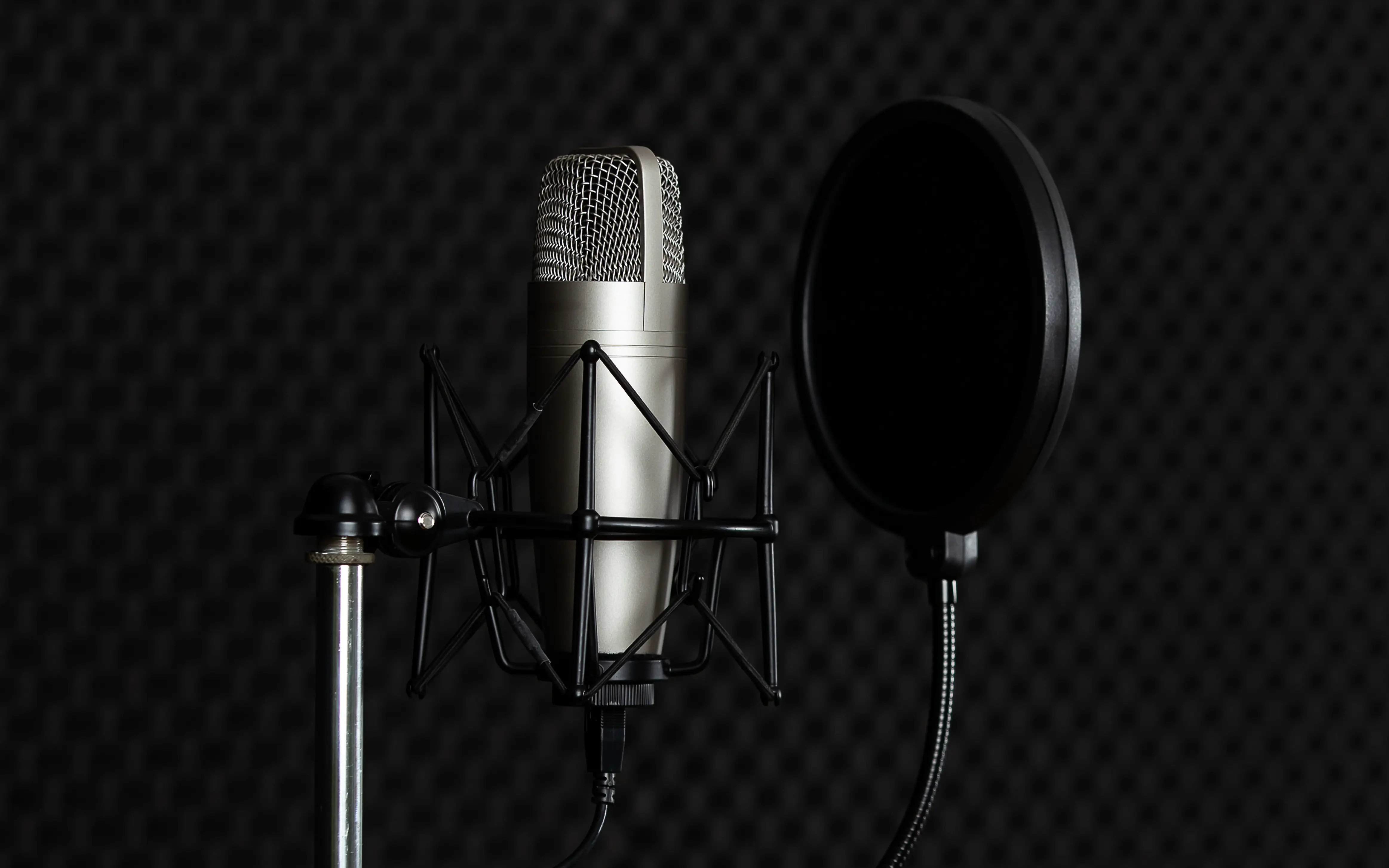 Silver condenser microphone mounted on a shock mount stand with a black pop filter in front, set against a dark acoustic foam background.