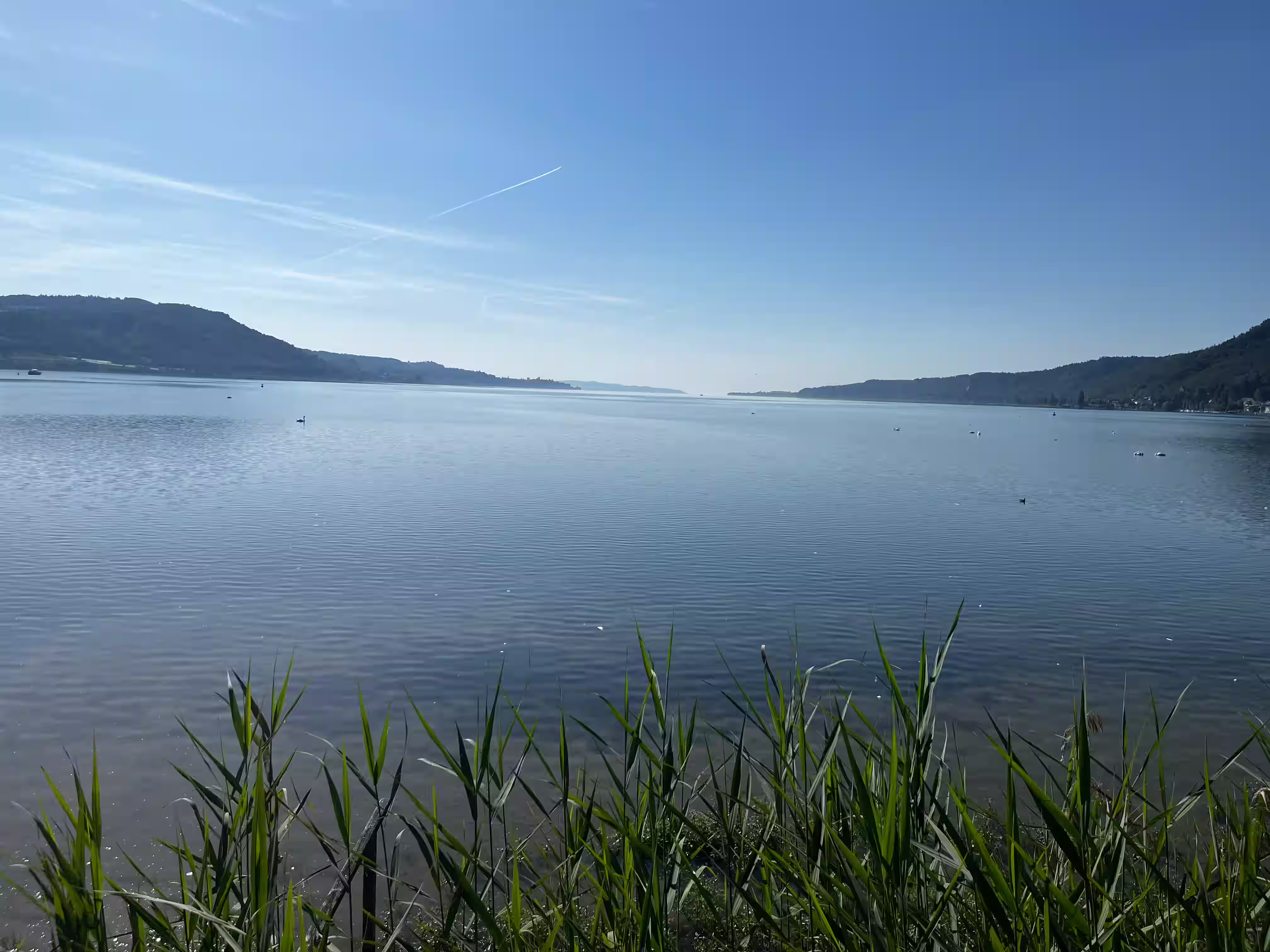 World Water Movement_Lake Constance