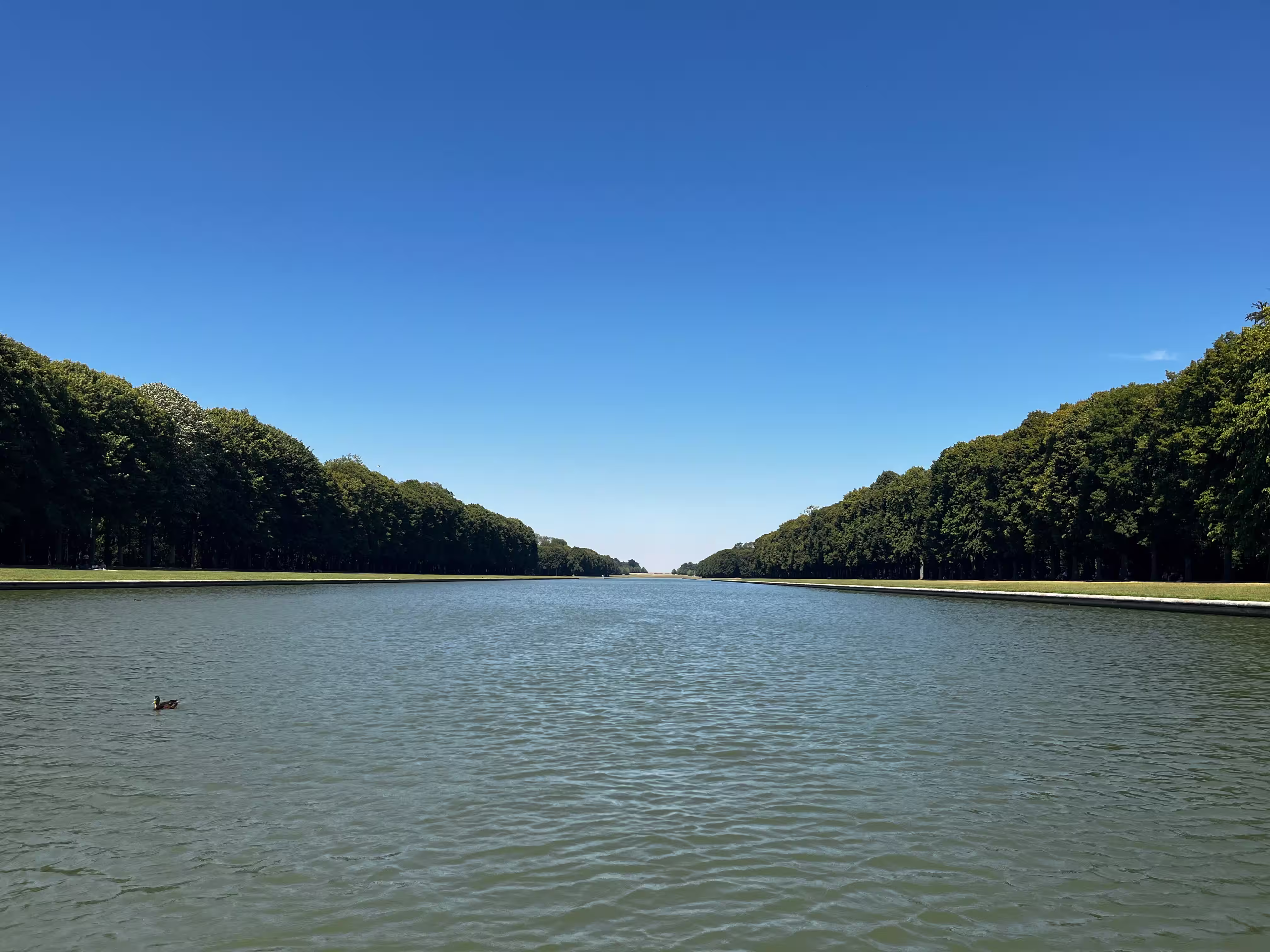 World Water Movement_Grand Canal of Versailles