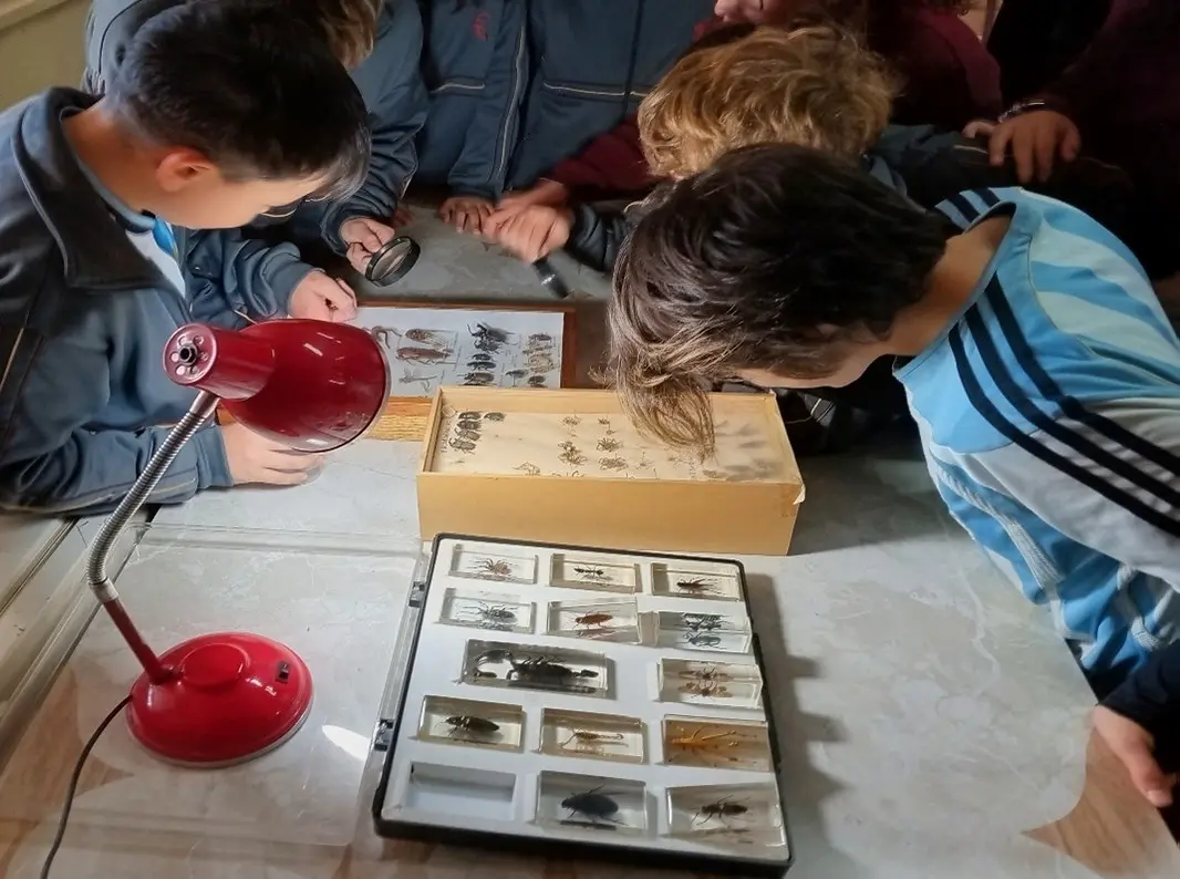 Students at Colegio Schönthal examine preserved arthropods with magnifying glasses in the school laboratory.