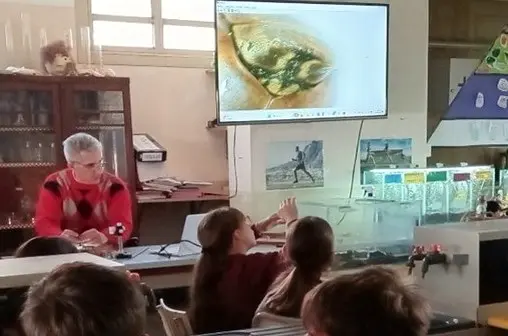 Sebastián Chiapella and his students view a magnified arthropod on the laboratory screen.