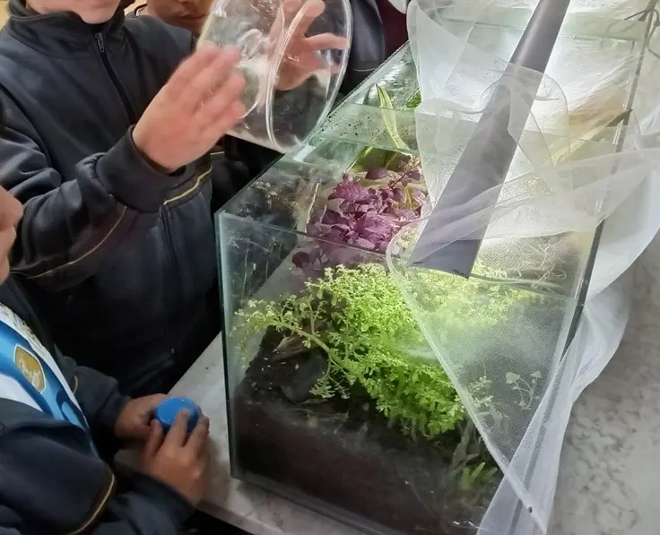Students hold a clear container above a planted glass terrarium.