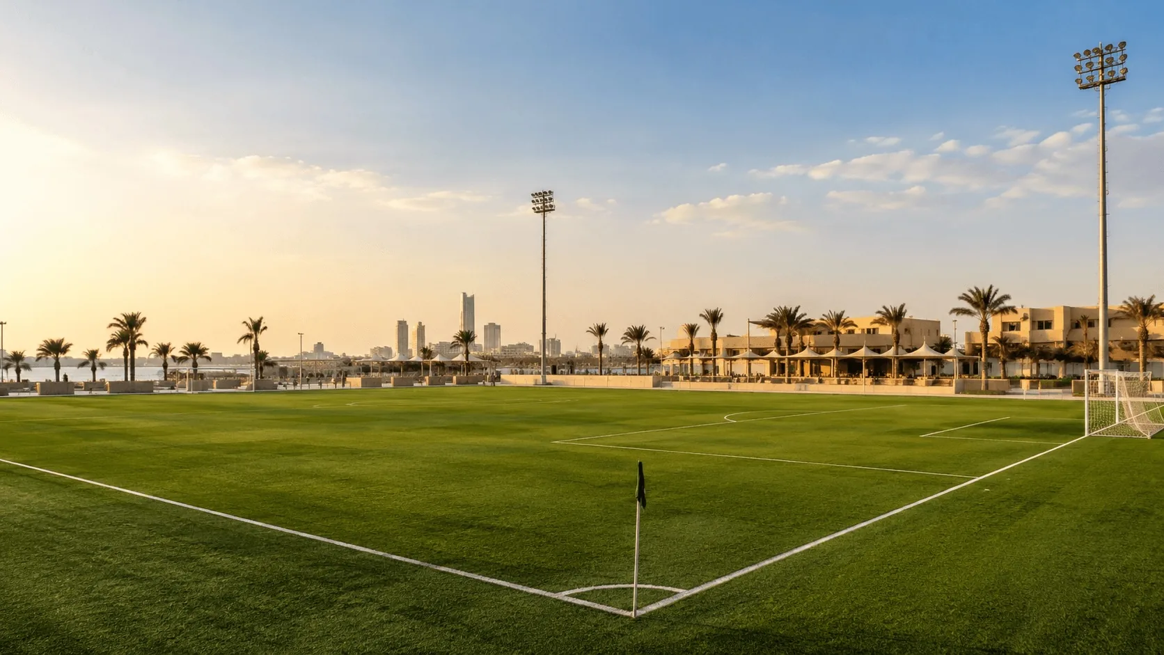 A football pitch lined with palm trees at sunset, with a city skyline in the distance.