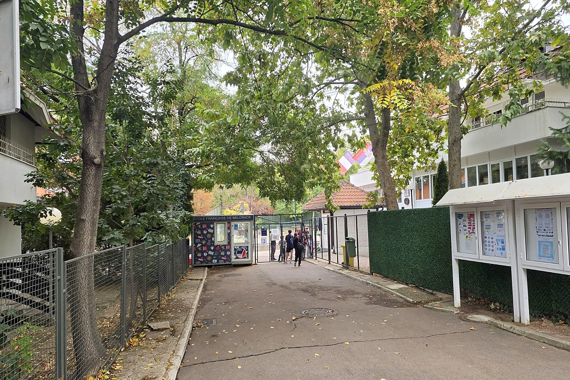 A tree-lined lane leading to the gate of the French School of Belgrade, with a kiosk marked École française de Belgrade, French and Serbian flags and pupils waiting at the entrance.