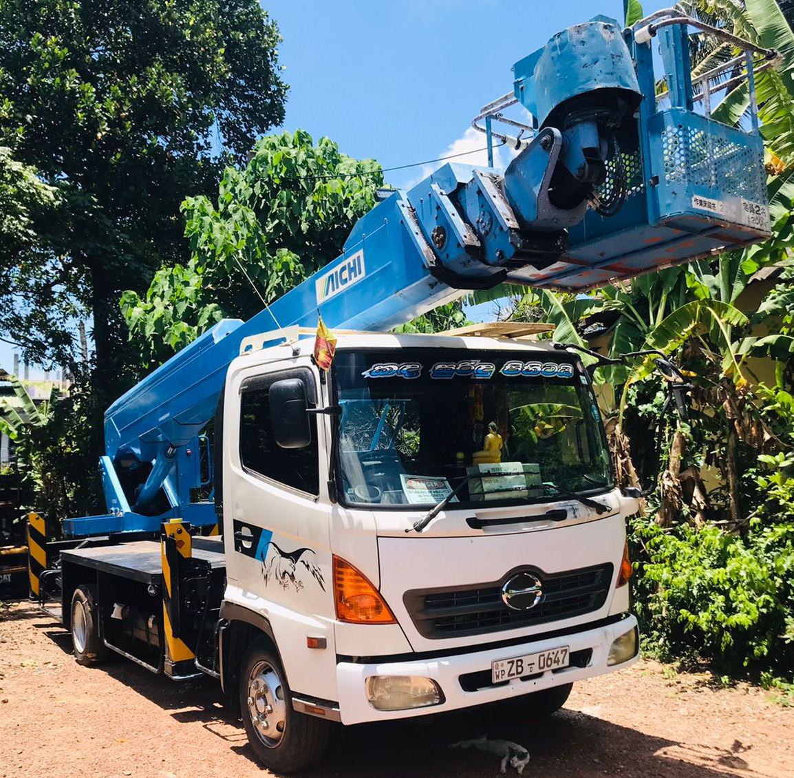 White truck with blue aerial work platform parked on dirt road surrounded by trees and plants.