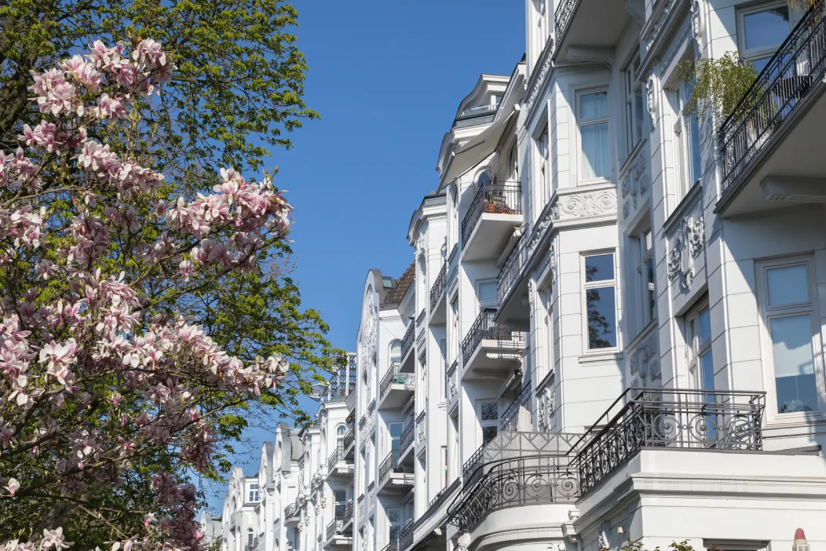 Weißes historisches Gebäude mit Balkonen neben einem blühenden Magnolienbaum und klarem blauem Himmel.