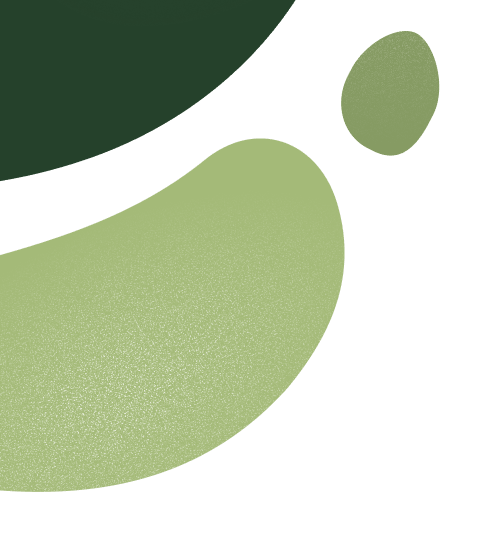 Abstrakt design med organiske former i forskellige grønne nuancer på sort baggrund.