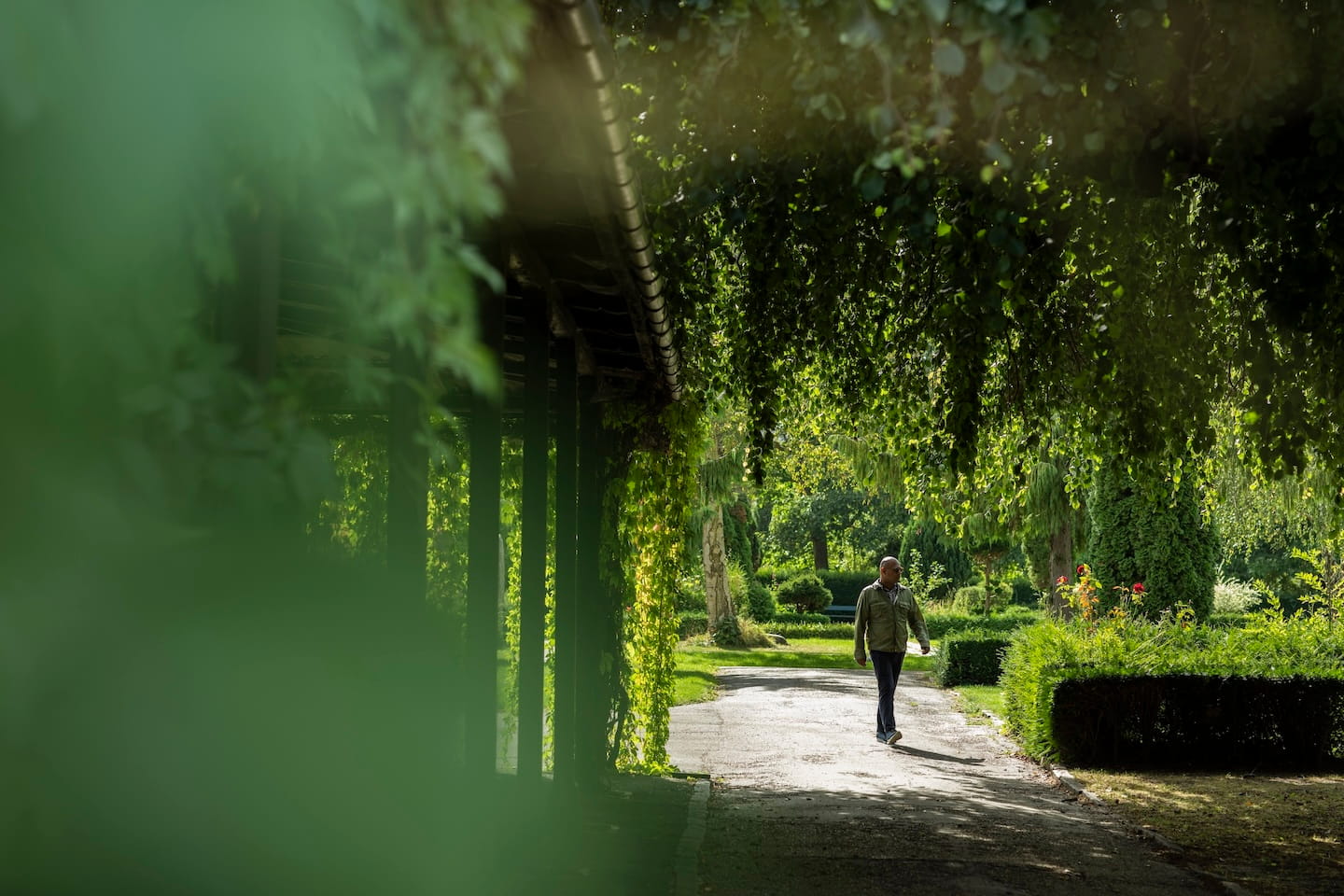Man wandelt over een pad in een zonovergoten park met groene bomen en struiken.