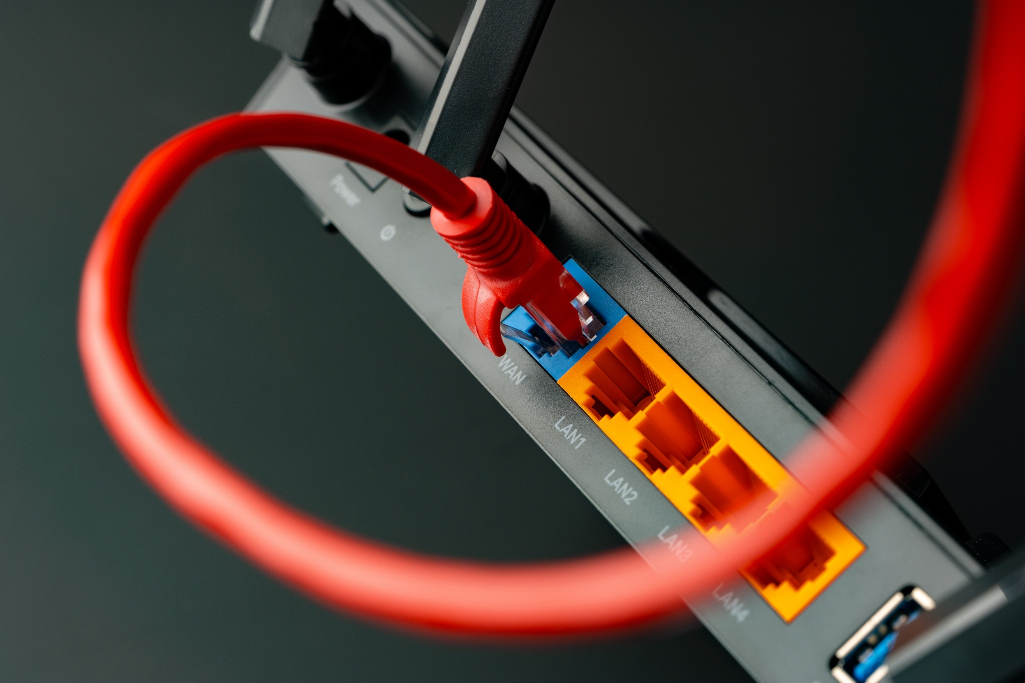 Network cable plugged into a router