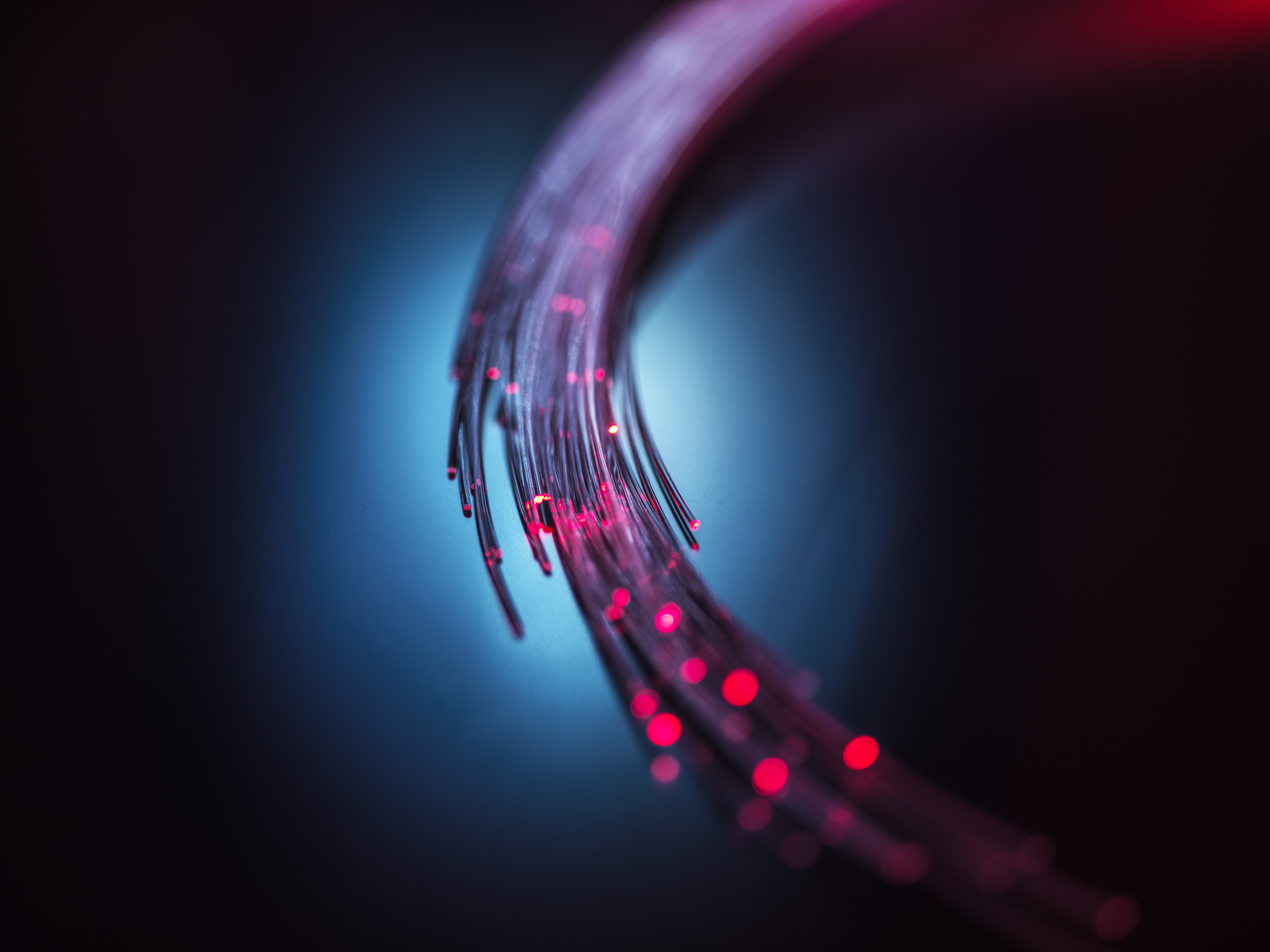 Fibre optic network connections illustrating a dark fibre network