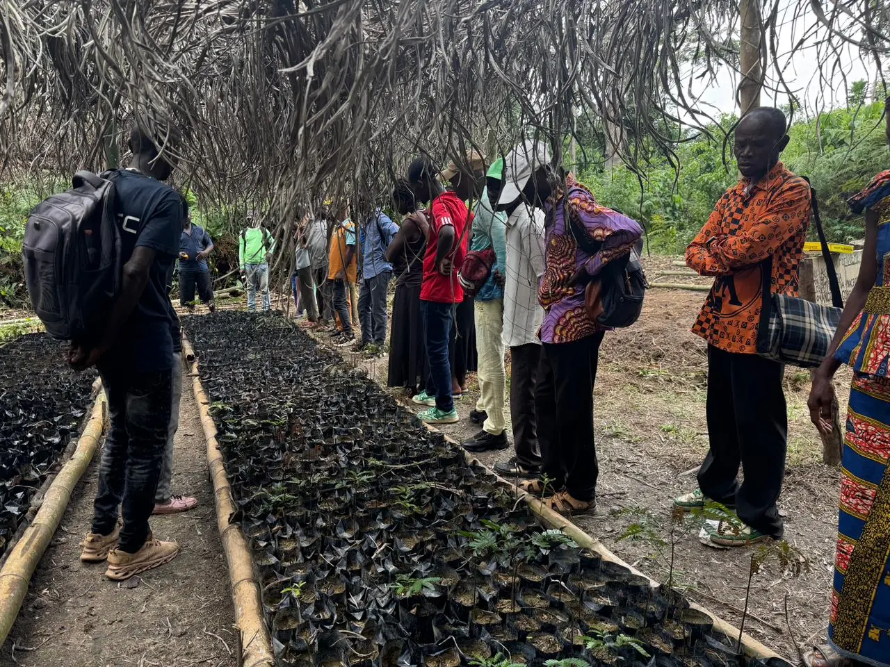 Project works in Congo
