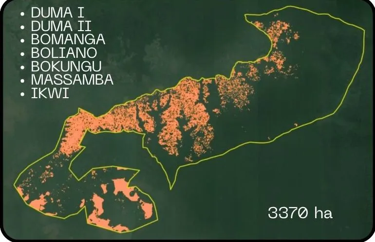 United Eco Solution's project area in Congo