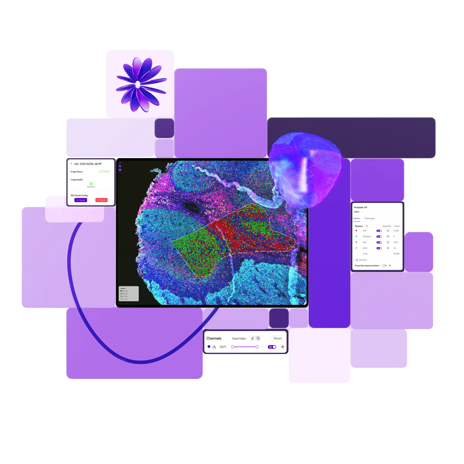 Microscopic tissue image with colored cellular markers displayed on screen surrounded by overlapping purple and violet squares and a translucent purple geometric shape.