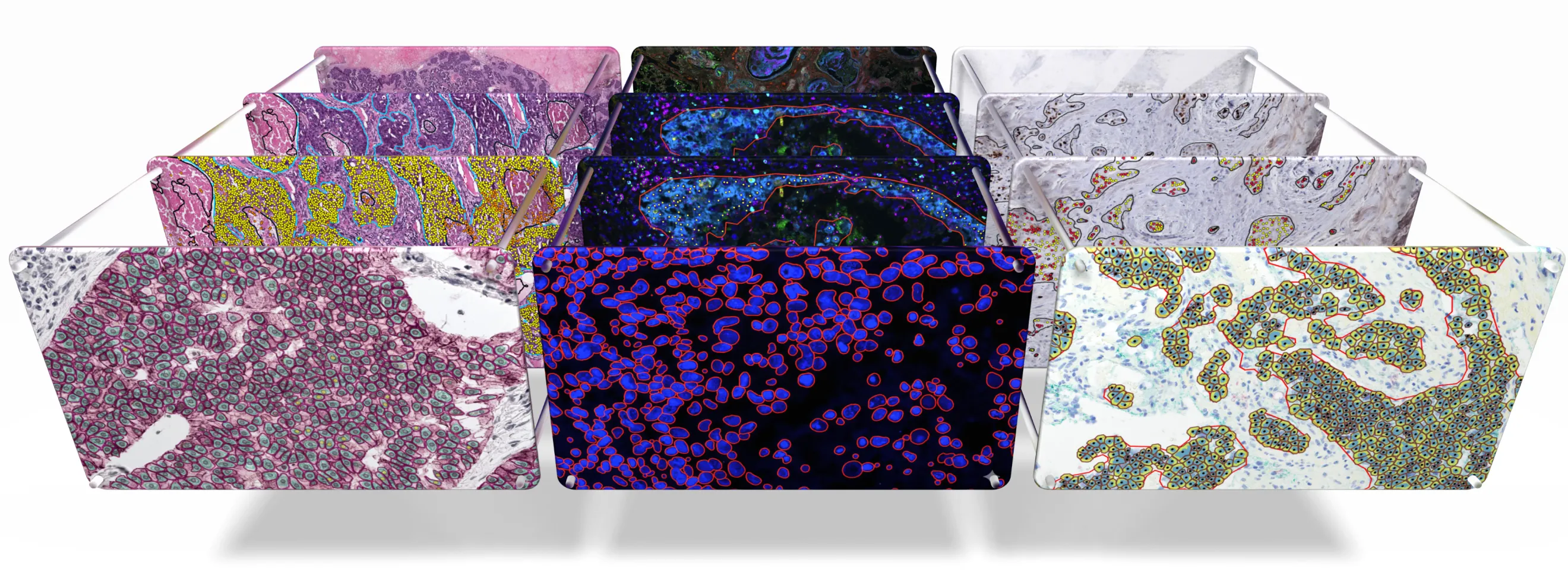 mindpeak peak frontier multi-layered annotation ai model graphic