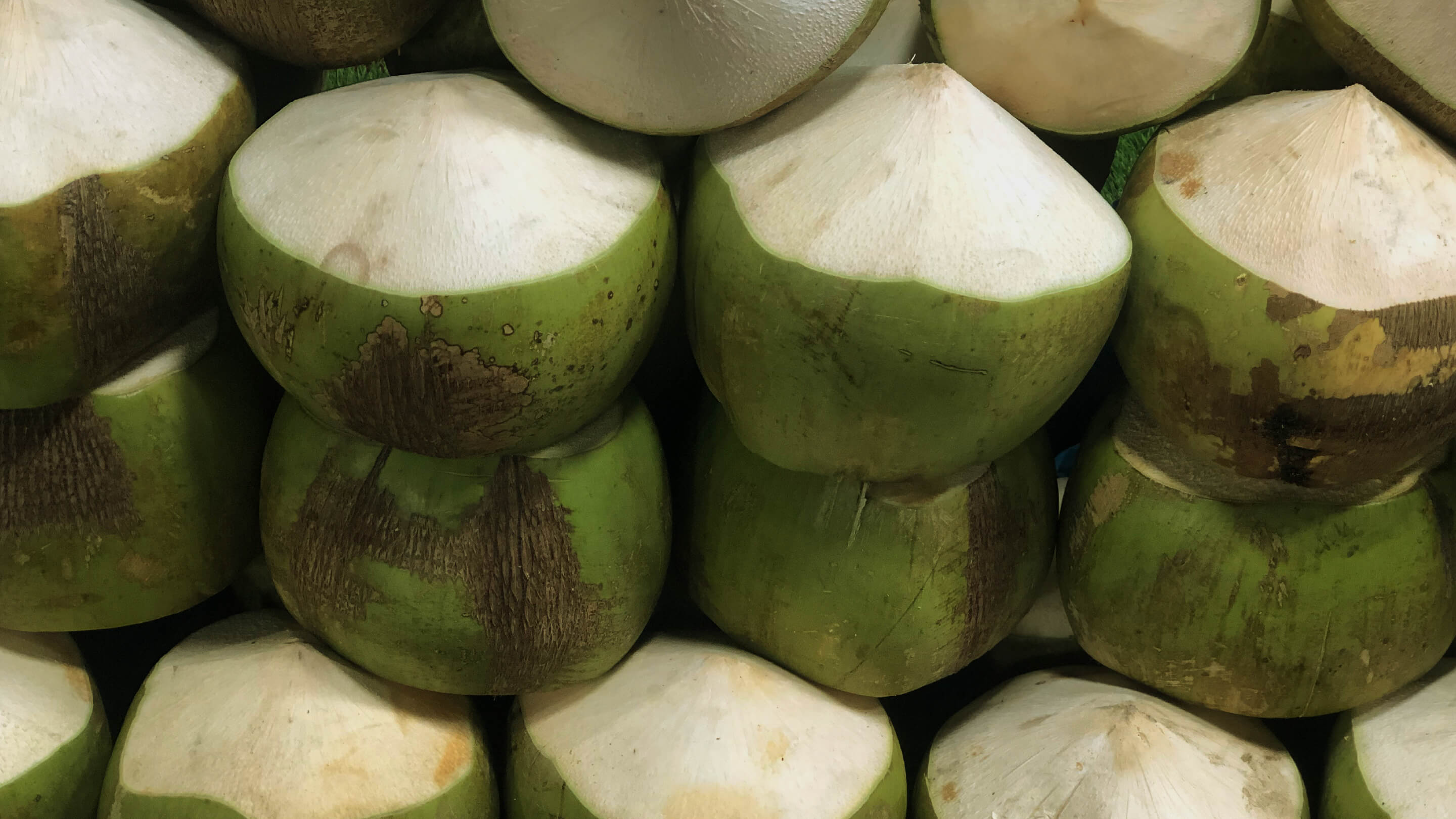 Background Cocoloco