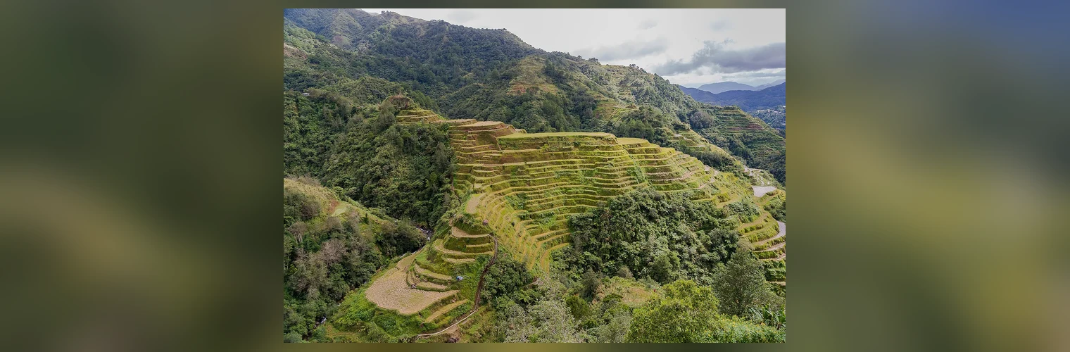 Tarasy ryzowe Banaue na wyspie Luzon, Filipiny