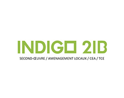 Indigo 2IB