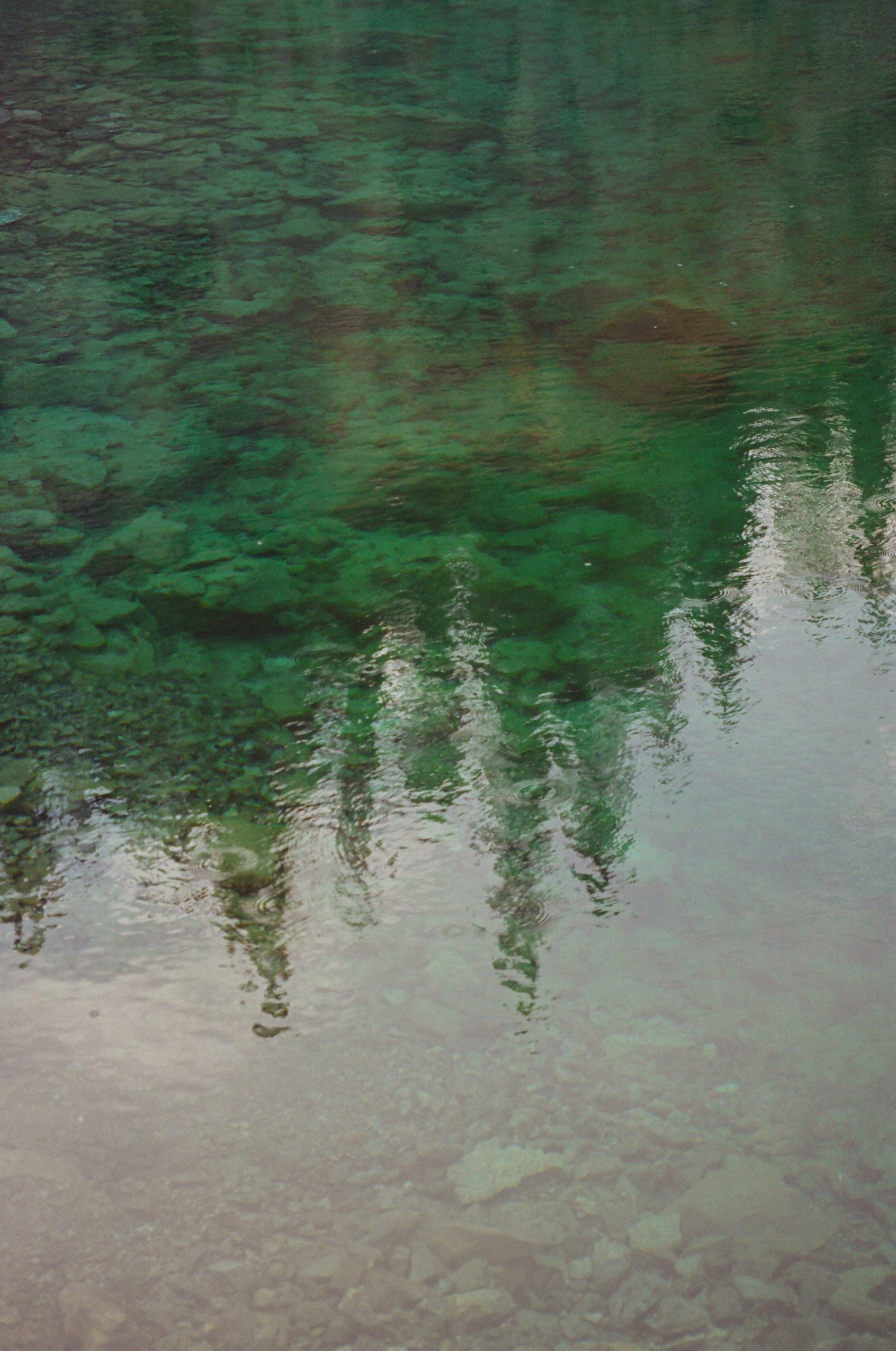 Reflection of evergreen trees in clear greenish water with visible rocks below the surface.