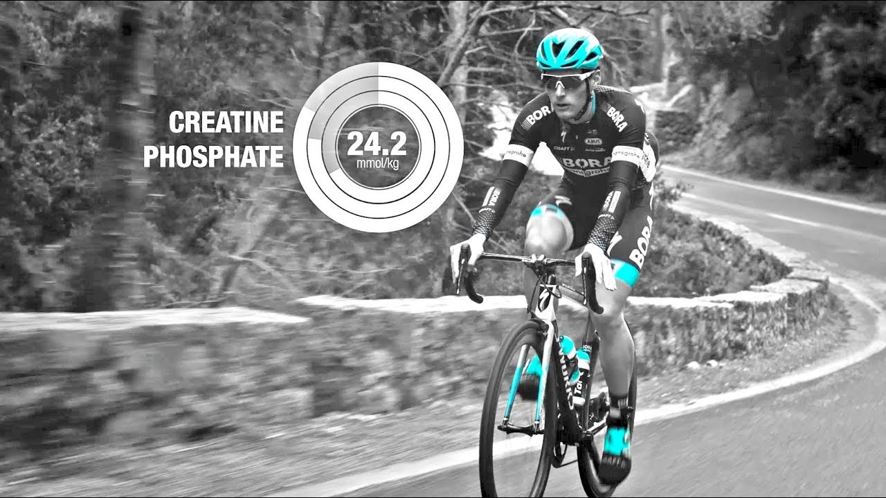 INSCYD partners with Team BORA - hansgrohe