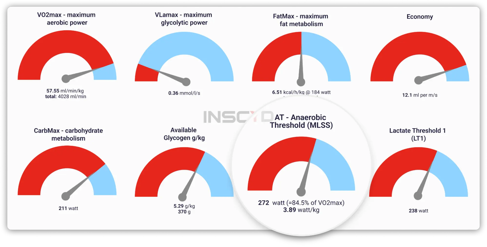 Full metabolic test results displayed as performance dials, including VO₂max, VLamax, FatMax, running economy, carbohydrate and fat combustion, available glycogen, anaerobic threshold (MLSS), and lactate threshold 1 (LT1). Demonstrates metrics unlocked by combining VO₂ testing with lactate analysis.