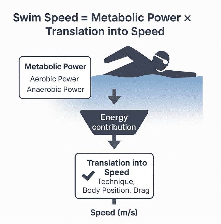 Swim speed infographic