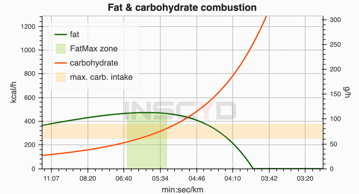 Fat and carbohydrate combustion rate