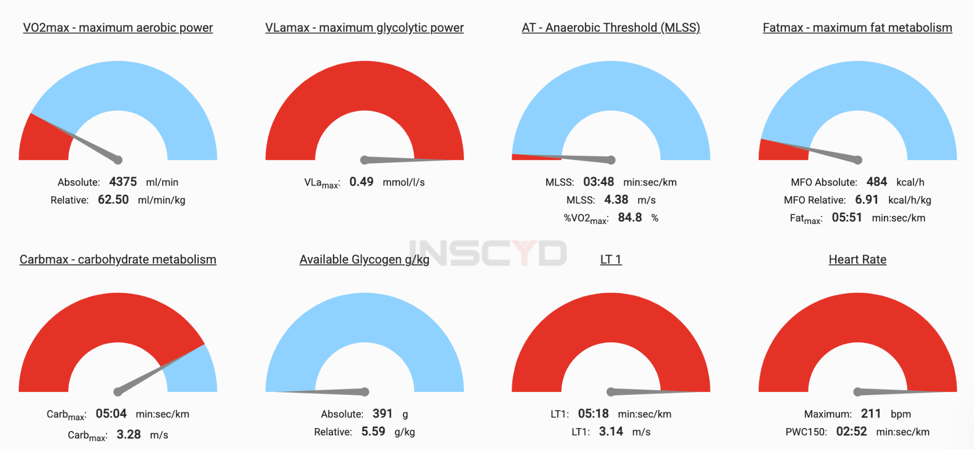 a complete metabolic of an age group triathlete