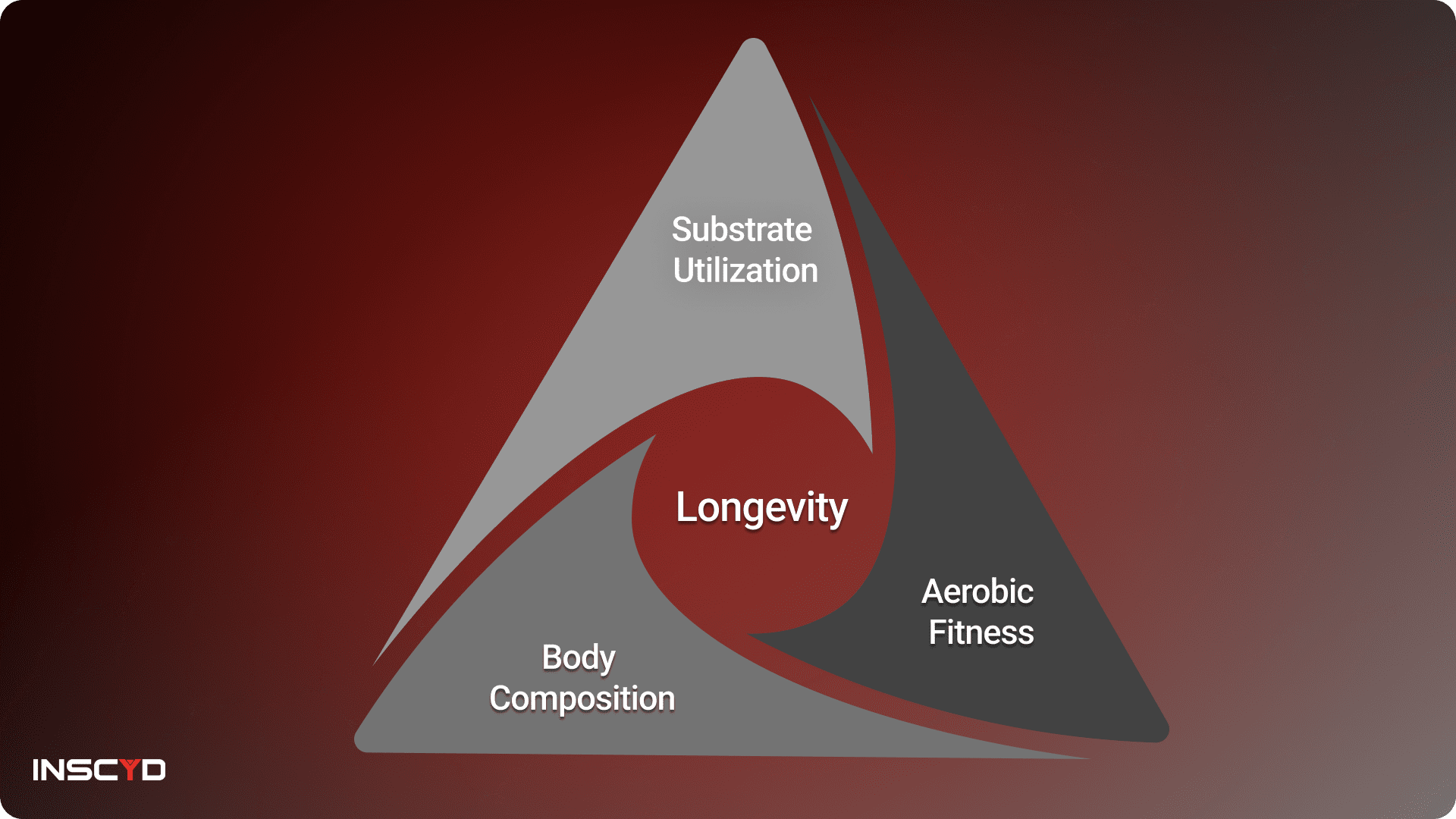 Triangle diagram with three connected points: Substrate Utilization; Body Composition; Aerobic Fitness