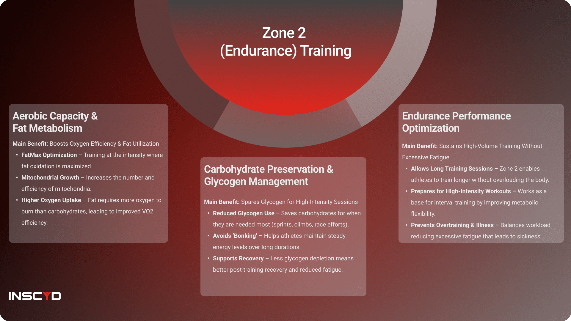 Zone 2 (Endurance) Training Explained