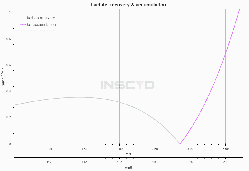 Lactate accumulation and clearance