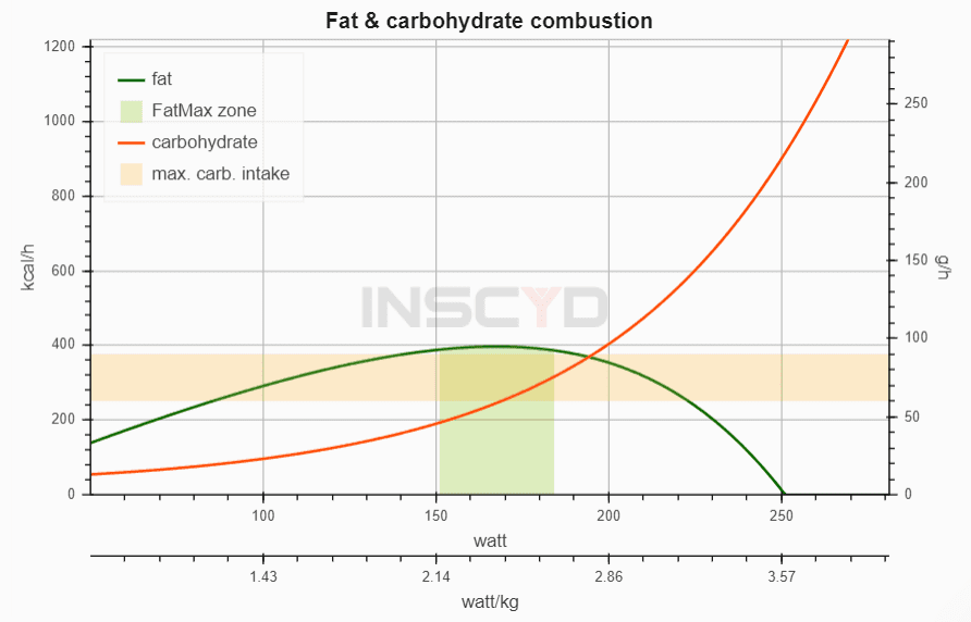 carbohydrate metabolism during triathlon run