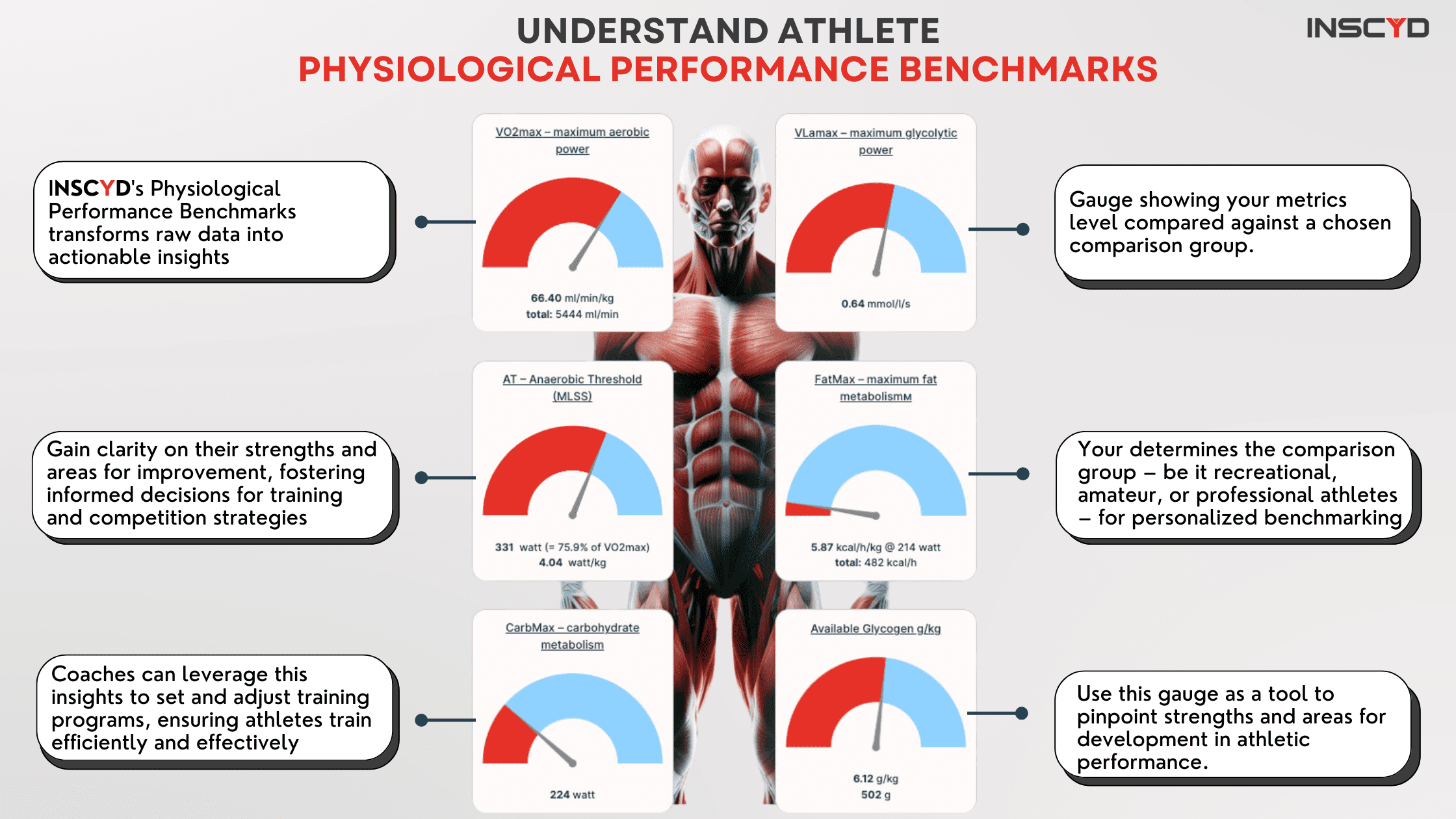 Infographic - Metabolic Performance Benchmarks