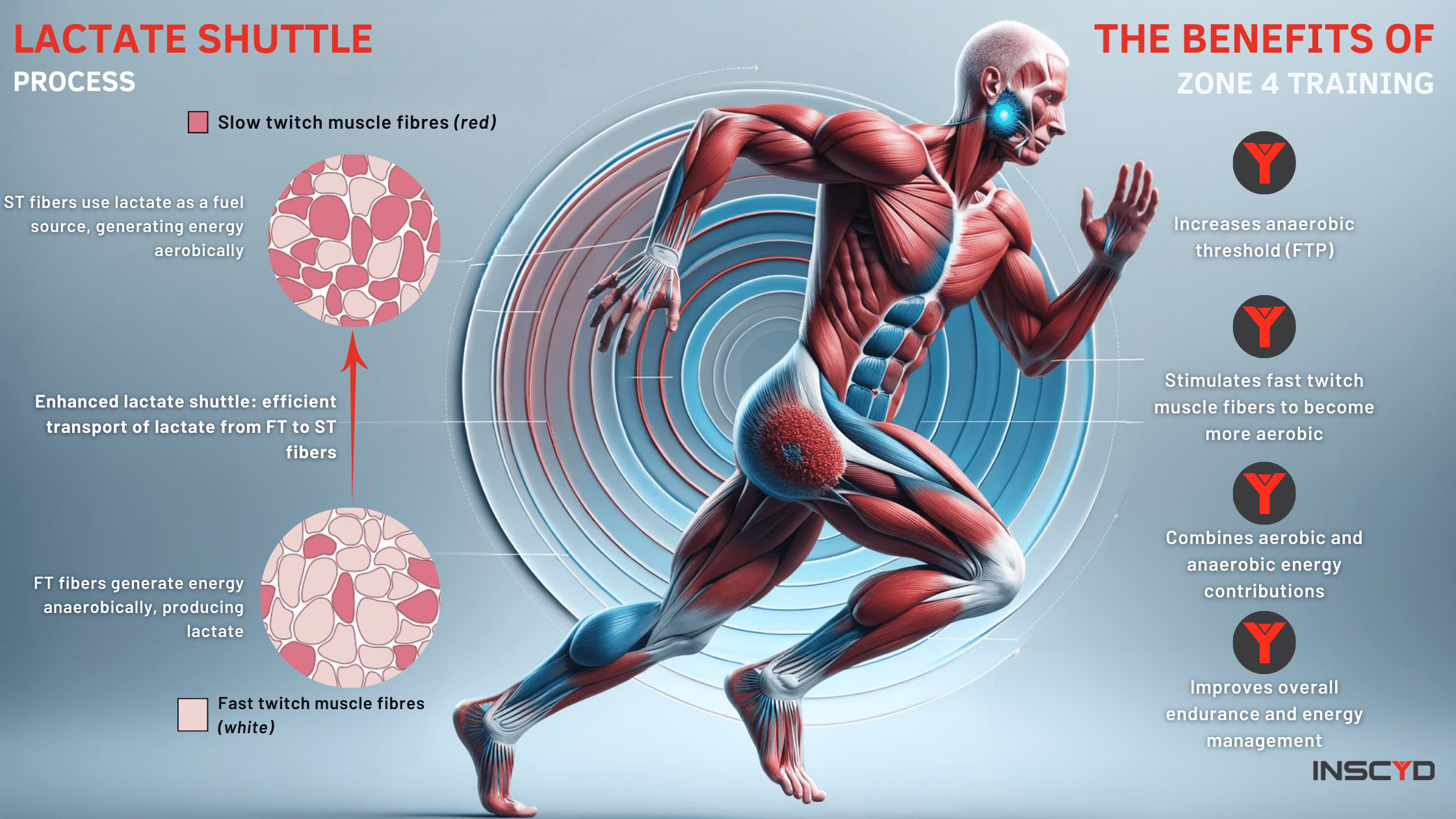 Benefits of Zone 4 Training