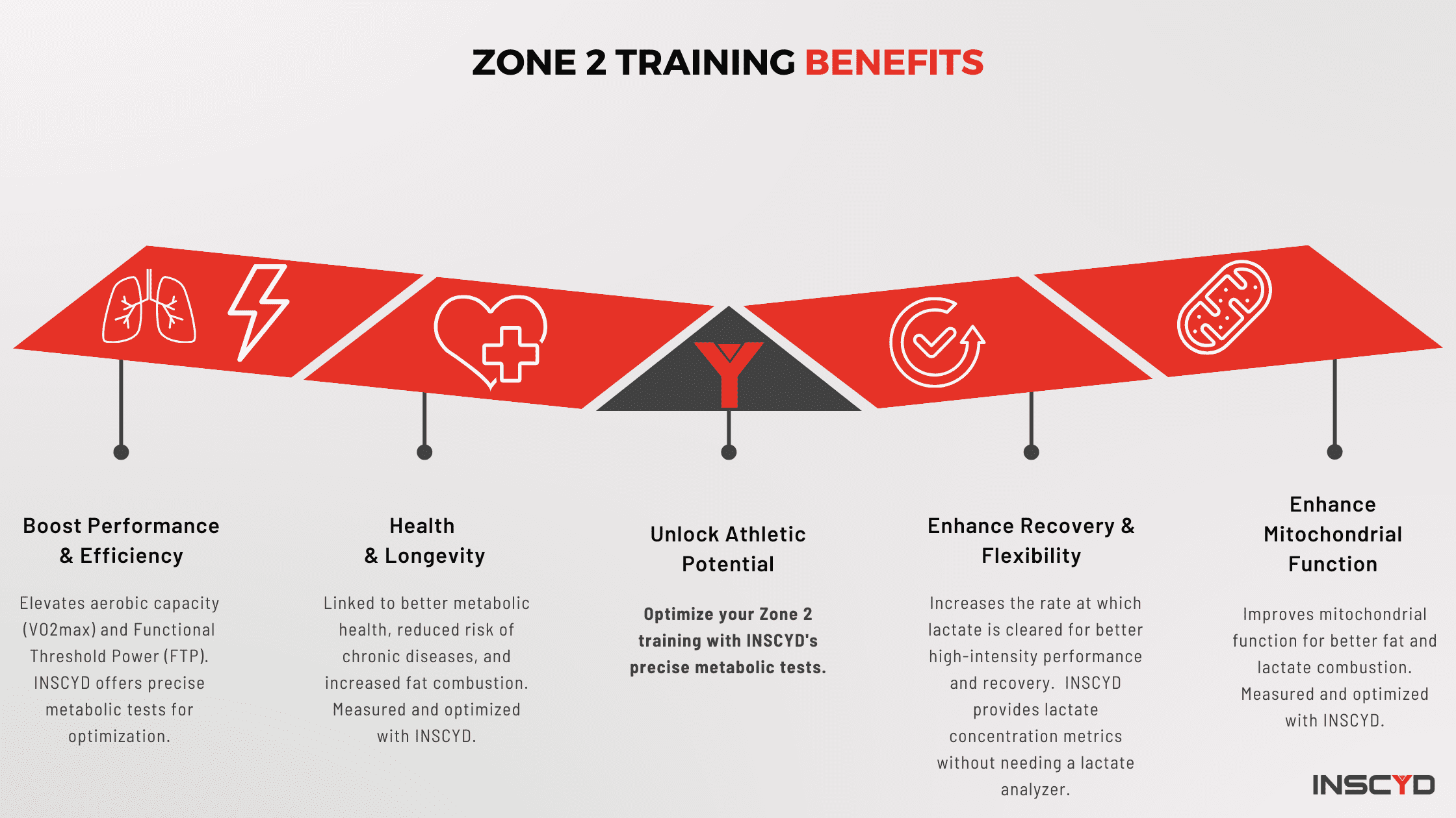 Infographic - Zone 2 training benefits