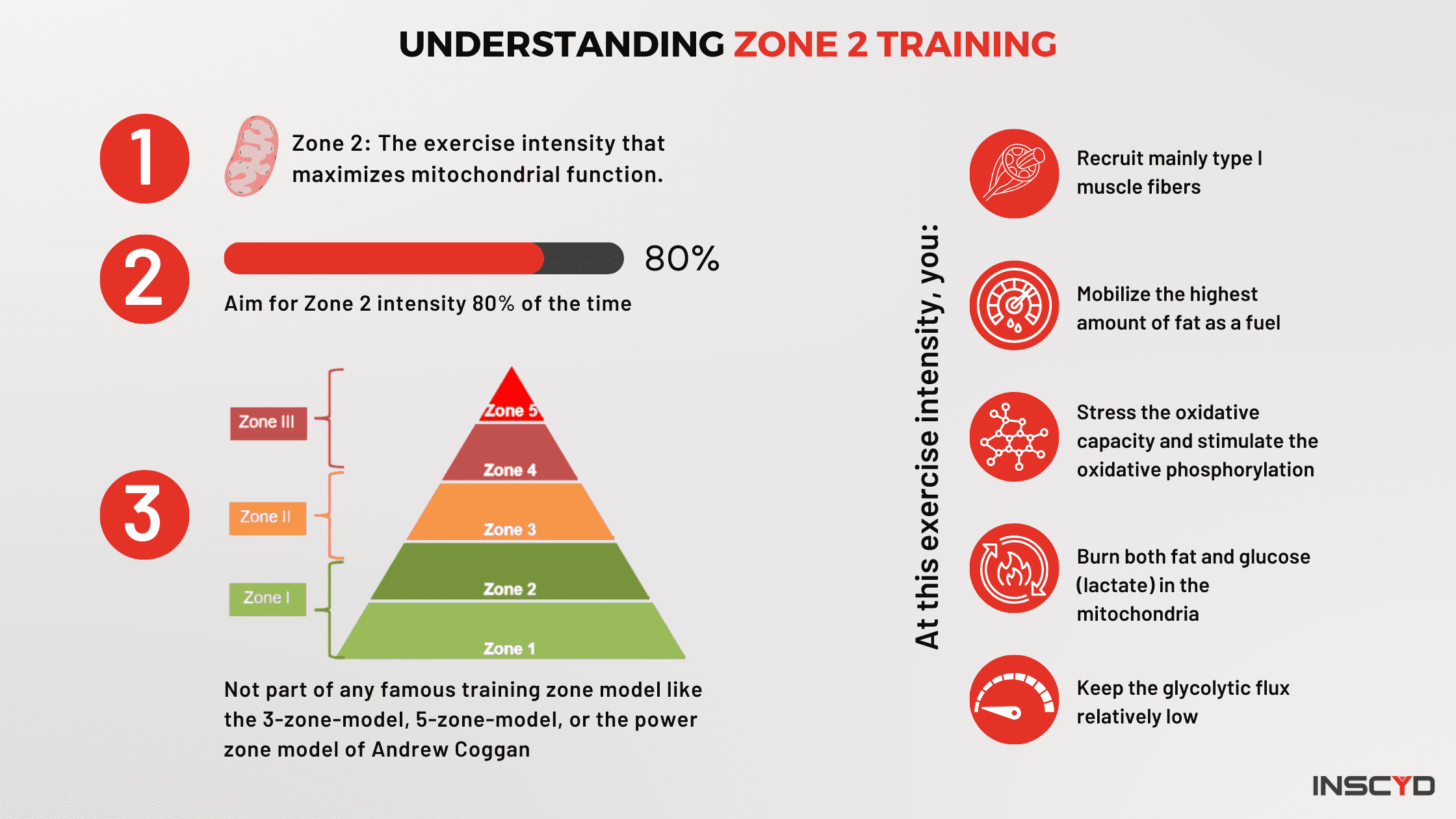 Infographic - Understanding Zone 2 Training