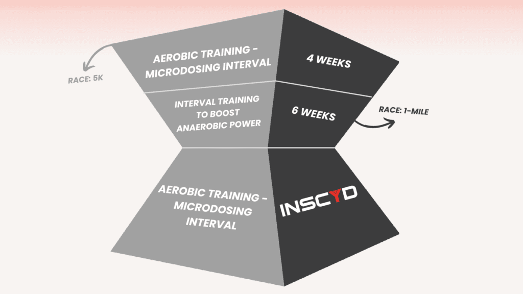 the hourglass training model