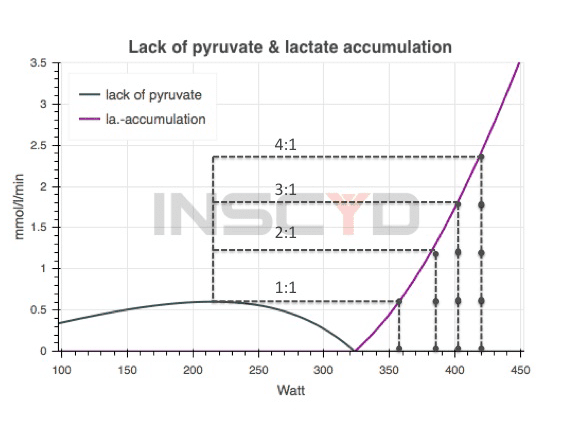 The lactate recovery and accumulation graph shows how fast you fatigue (accumulate lactate) and how fast you recover (clear lactate) from intervals. This enables you to create highly individual interval training.