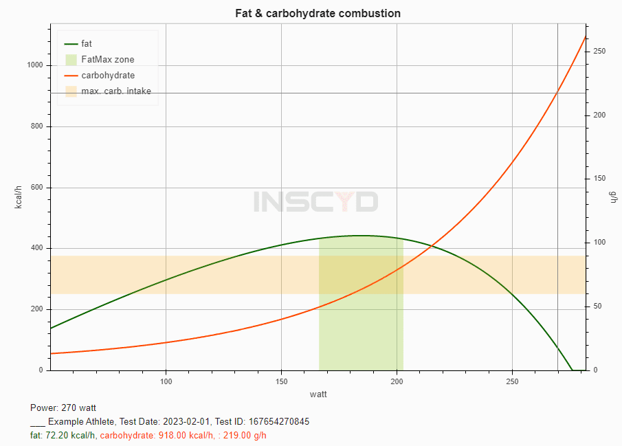 By hovering over the image in the INSCYD software, you can get the exact fat and carbohydrate combustion rates (bottom left).