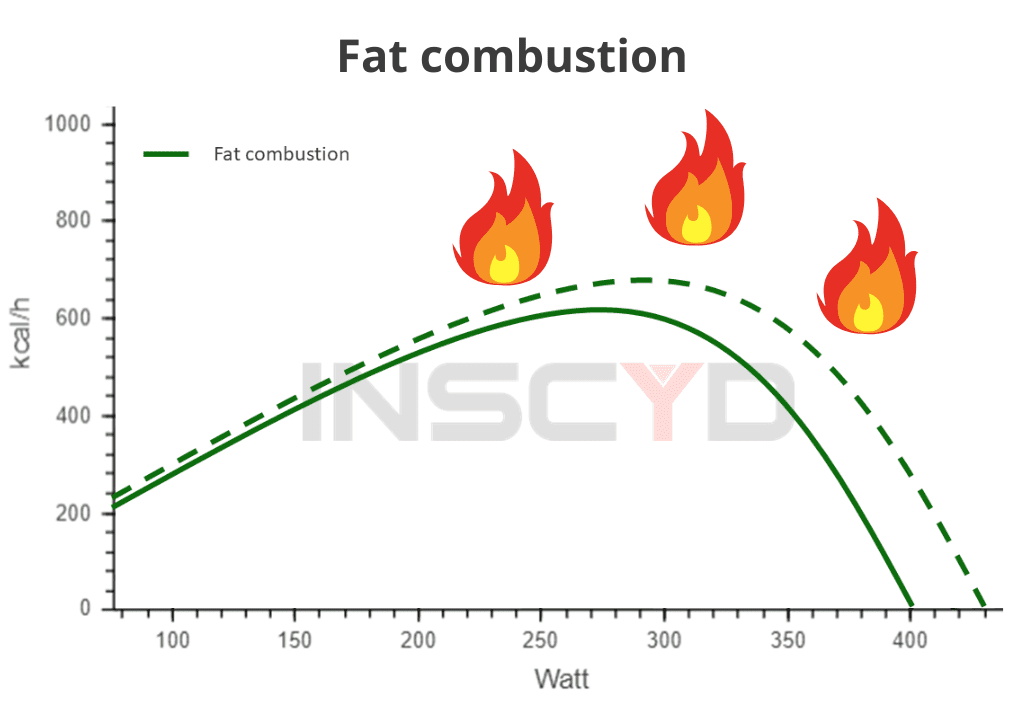 3 Training Tips to increase fat combustion