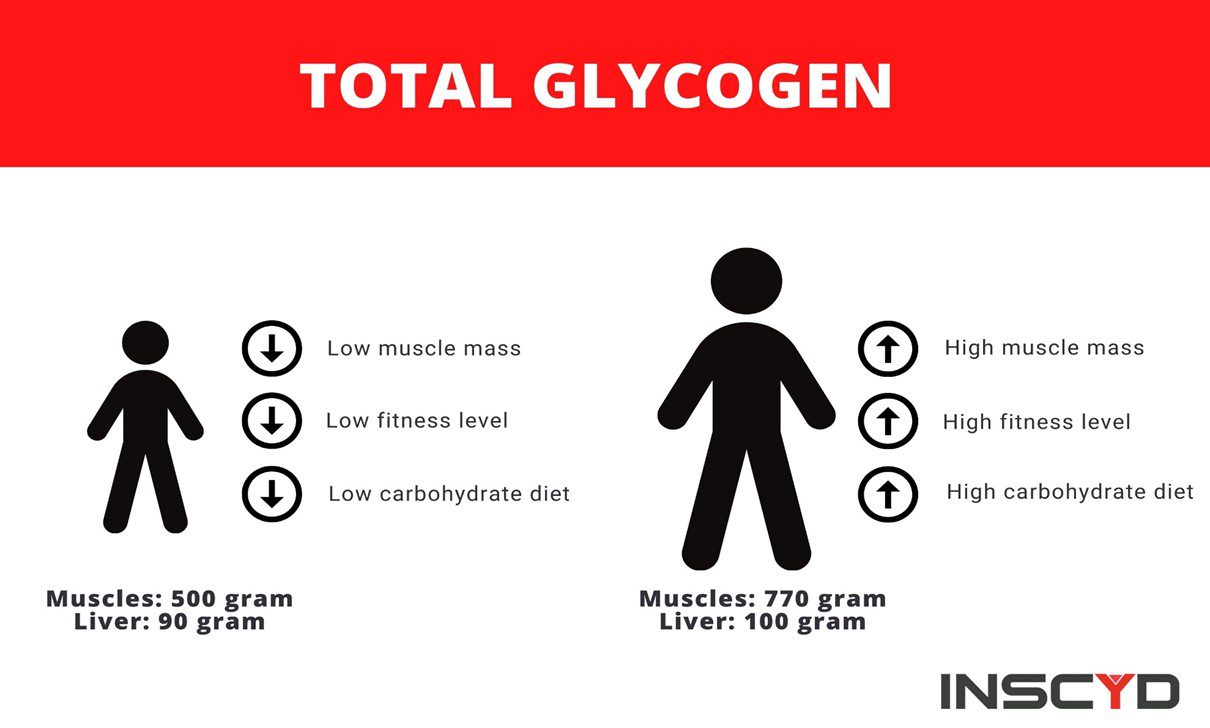 Infographic: total glycogen content when exercising.