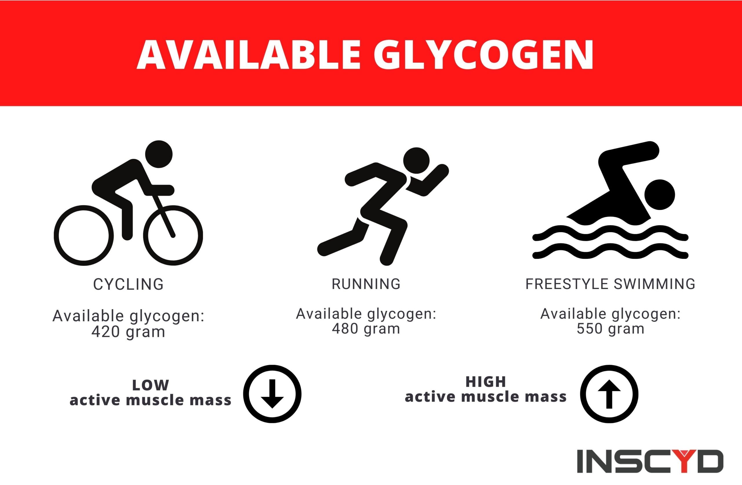 Infographic: available glycogen content when exercising.