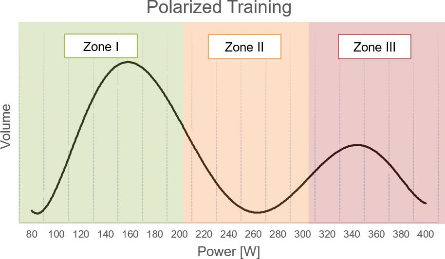 Visualization of the polarized training model