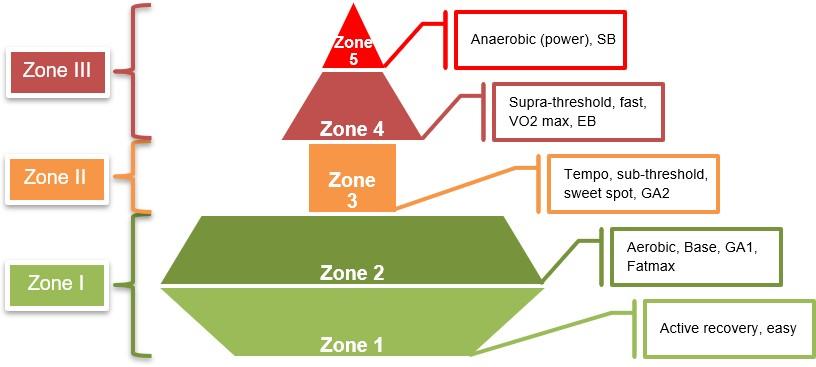 Visualization of polarized training